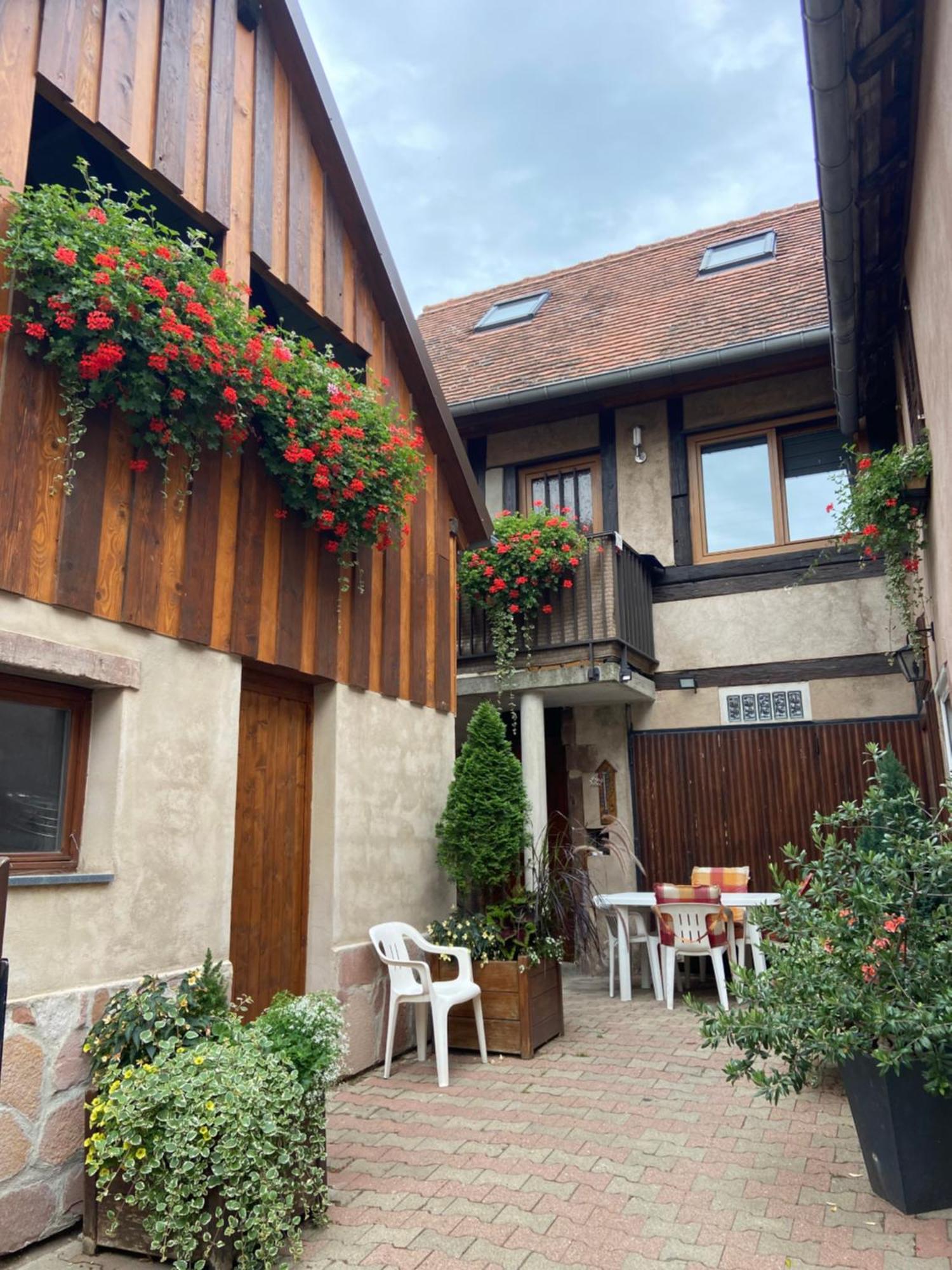 Appartments Rue Des Chateaux Ottrott Exterior photo